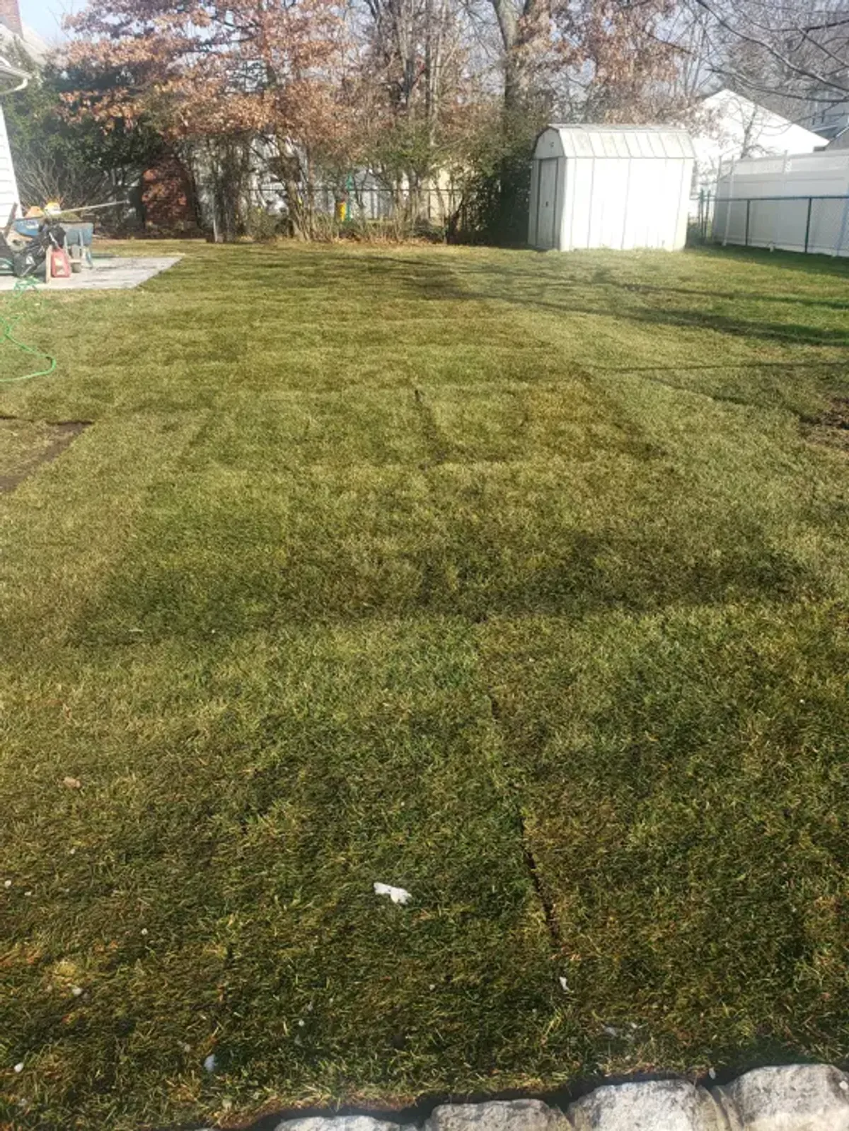 Sod Installation in NJ | Fresh Green Lawns in Days - Close-Up - MAC Paving and Sealcoating